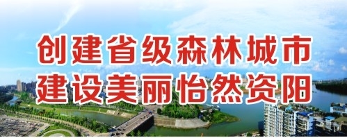 大鸡巴日美女嫩逼呻吟免费播放创建省级森林城市 建设美丽怡然资阳